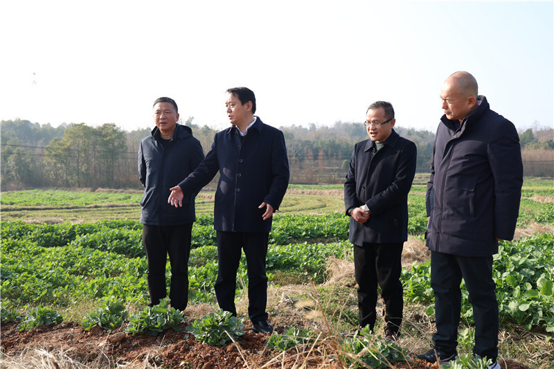 吴光文调研“三冬”生产工作