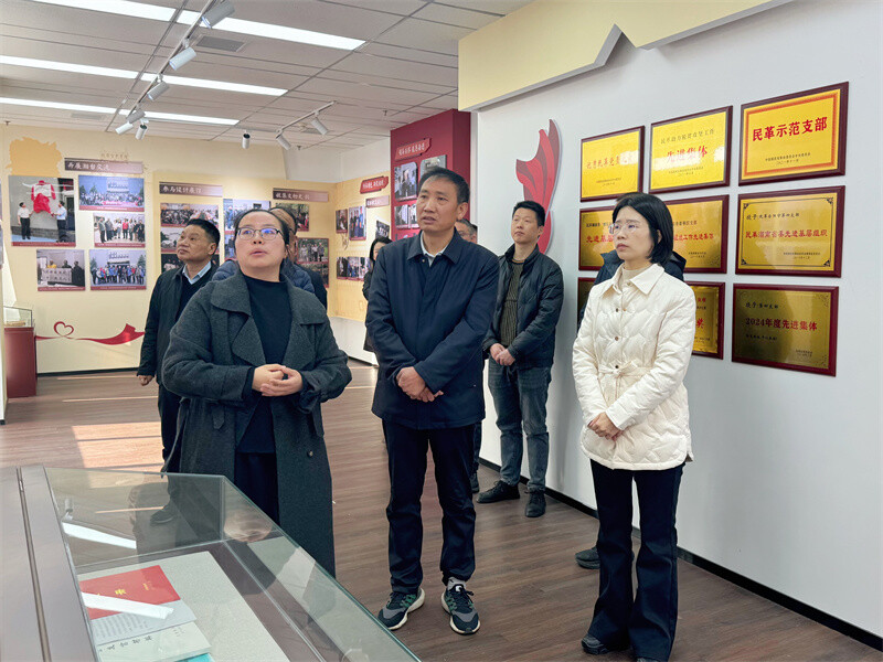 县领导调研民主党派基层组织建设工作