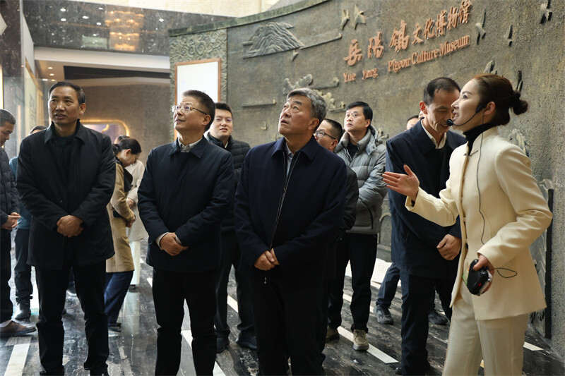 李民来岳阳县调研政协履职平台建设等工作