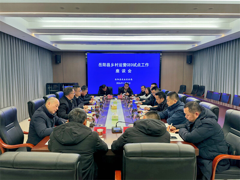 岳阳县召开乡村运营CEO试点工作座谈会
