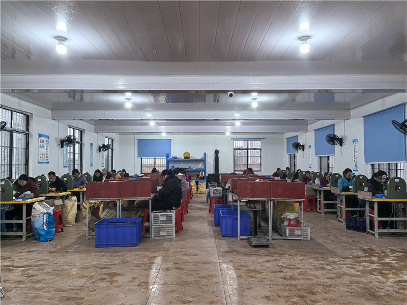 小伞撑起富民路 人社帮扶促振兴