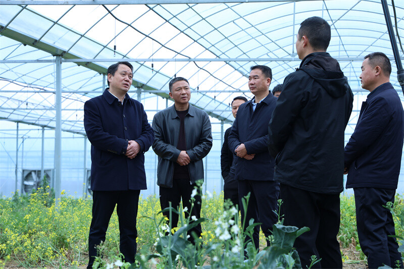 吴光文调研春耕备耕工作