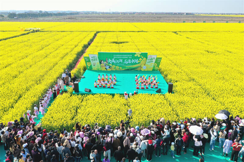 中洲乡三千亩油菜花盛放 “花海＋”模式让乡村游持续升温