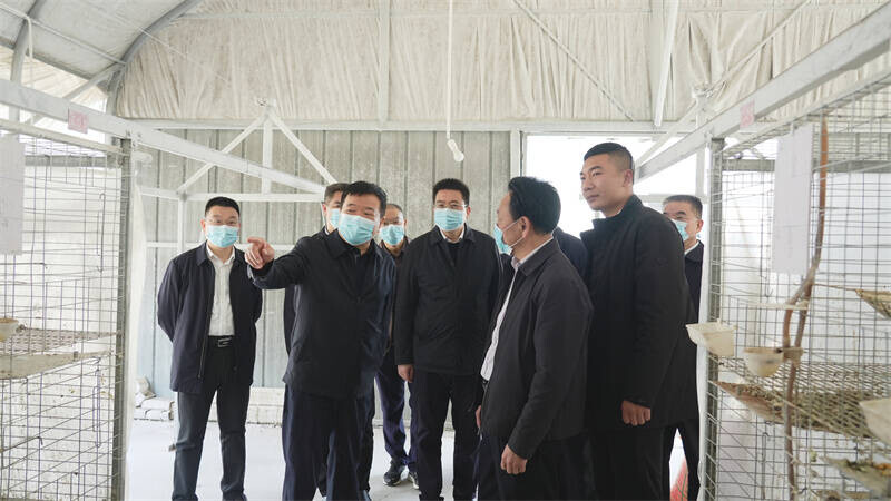 陈飞来岳阳县开展农村集体经济组织立法调研