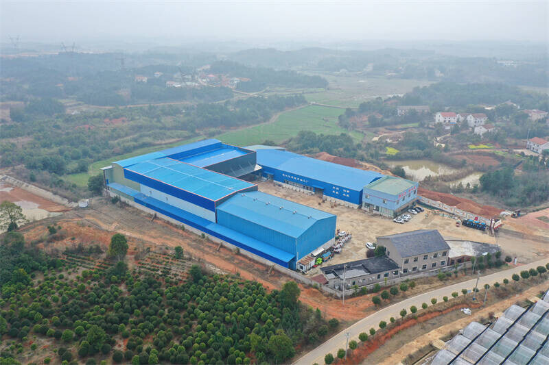 早稻育秧忙 科技赋能赶“春光”