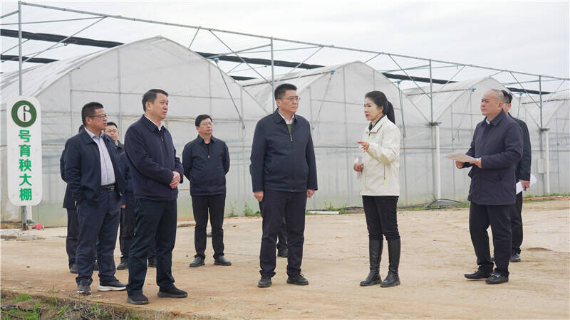 肖湘晖赴中洲乡、荣家湾街道、筻口镇督导春耕生产工作