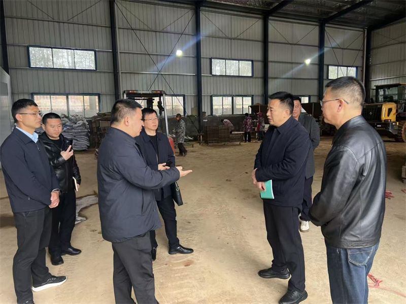 王靖到杨林街镇督导调研