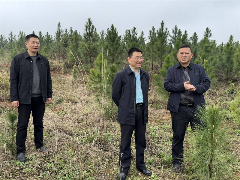 周峰到长湖乡开展多项工作