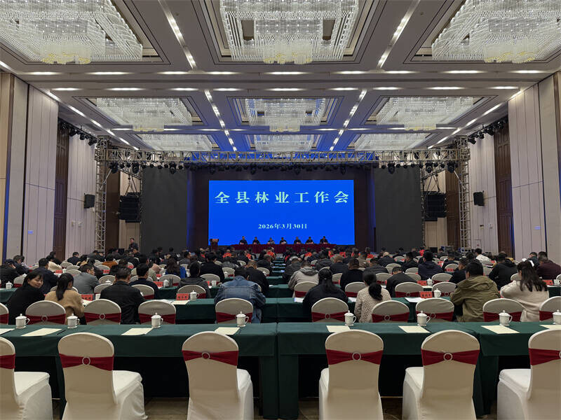 全县林业工作会议召开