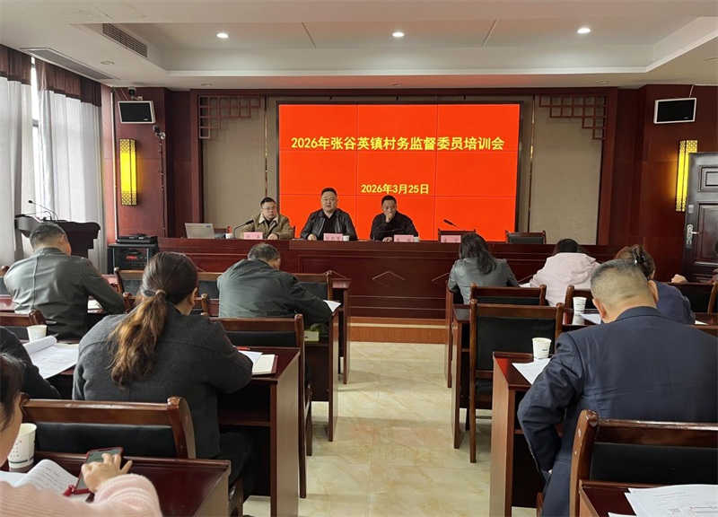 张谷英镇召开村级财务廉政与业务培训会