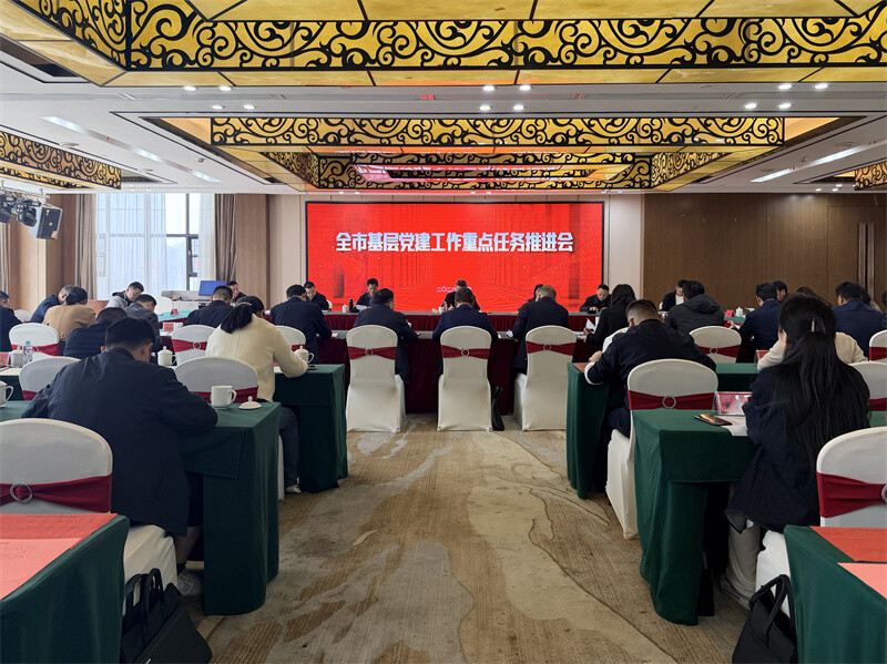 全市基层党建工作重点任务推进会在岳阳县召开
