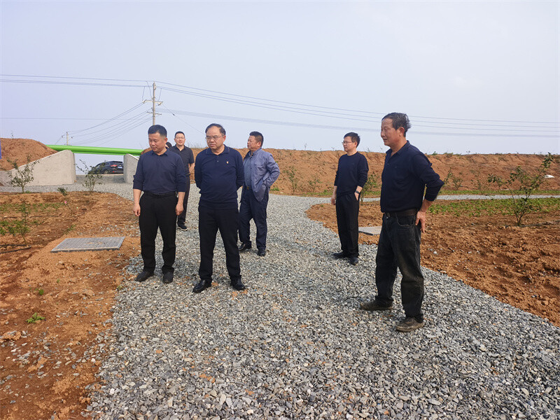 任三星调研全县《中华人民共和国种子法》贯彻实施审议意见落实情况