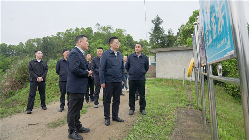 肖湘晖赴新开镇、新墙镇督导防汛备汛、综治中心运行、产业发展等工作