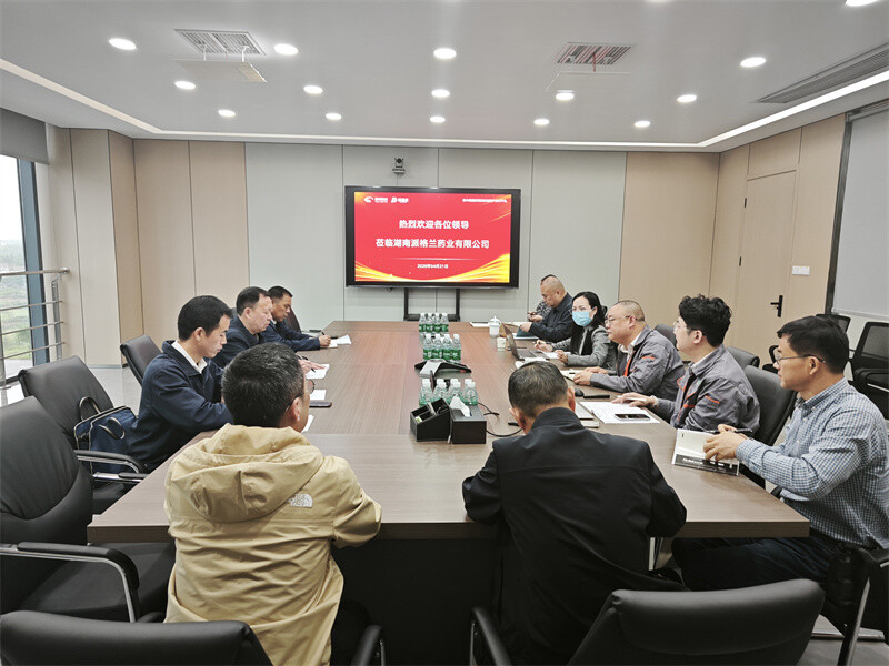 聚焦产业一体化 服务企业零距离——市工信局来岳阳县开展专题调研