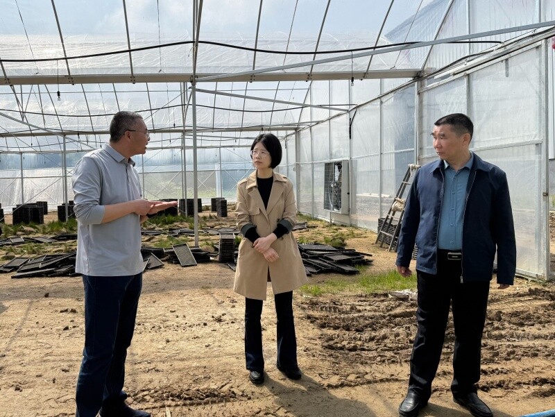 李樱赴月田镇督导调研当前重点工作