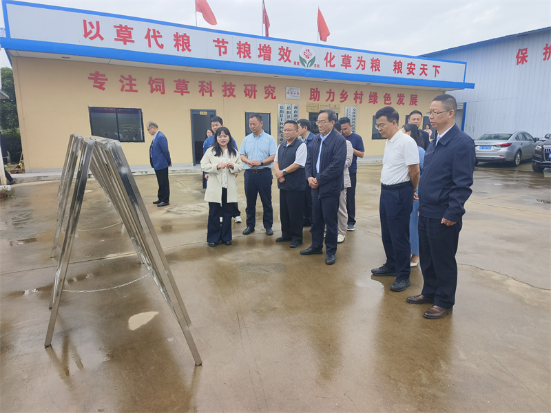 省政协调研组来岳阳县开展专题调研
