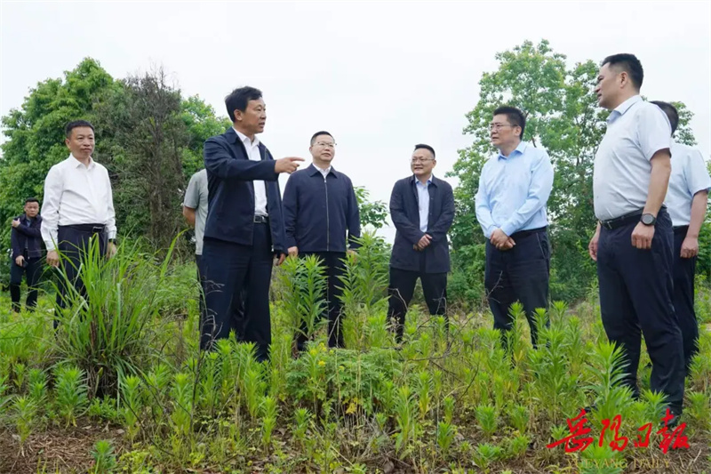 李挚以明察暗访方式督导防汛备汛、安全生产等工作
