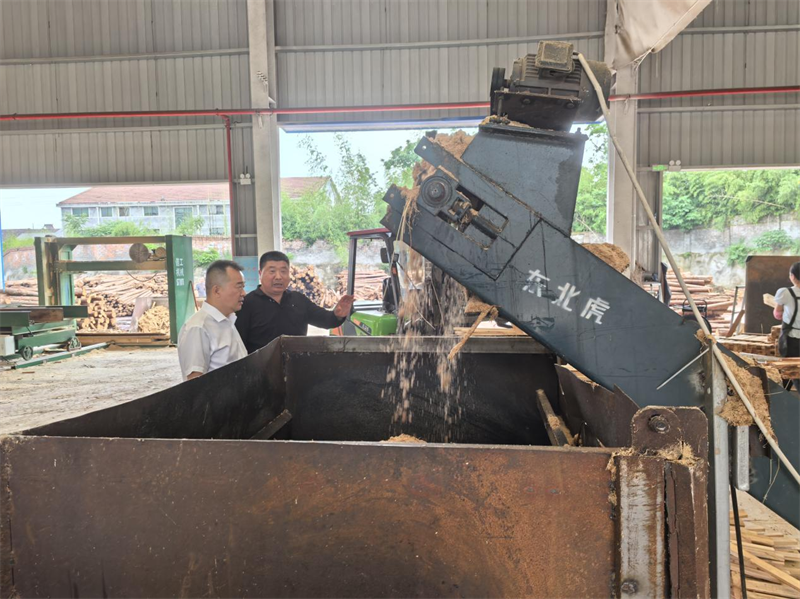 岳阳县林业局开展林业行业安全生产隐患排查整治