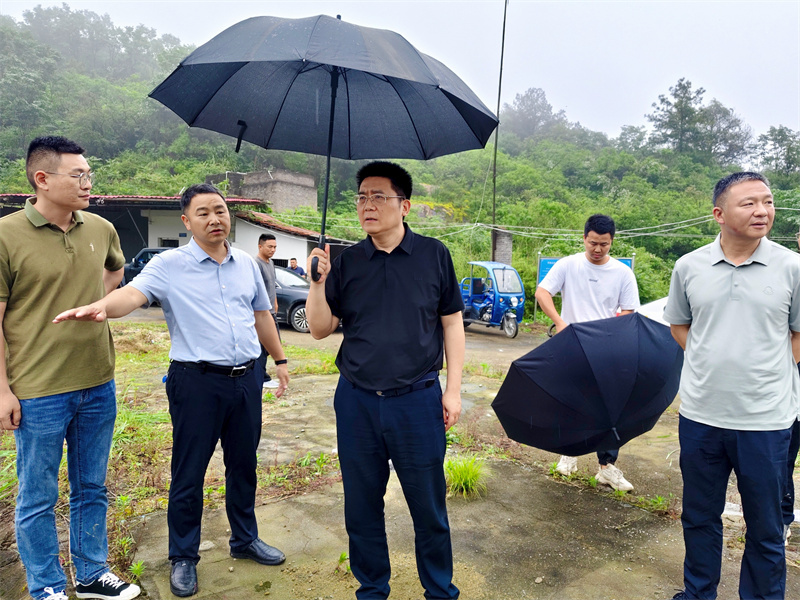 肖湘晖以“四不两直”方式督导防汛备汛工作