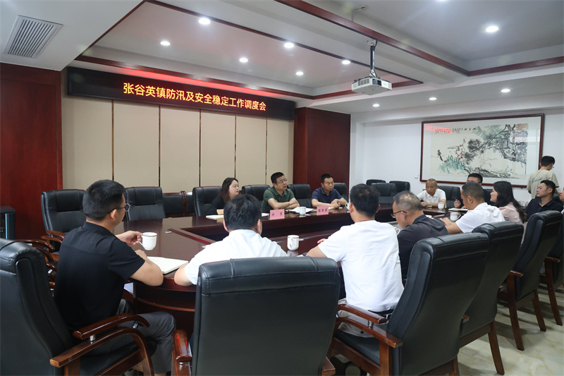 张哲君到张谷英镇督导防汛备汛及安全稳定工作