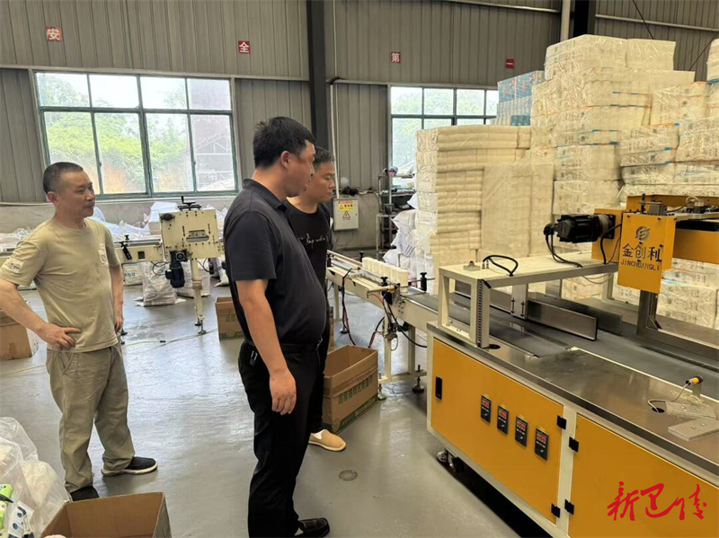 新墙镇：多措并举筑牢安全生产防线