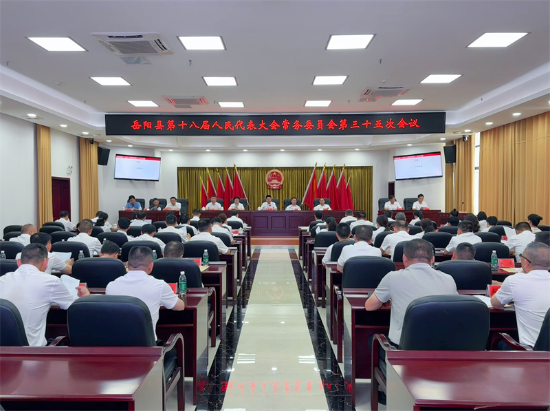 岳阳县第十八届人大常委会第三十五次会议决定韩翼飞任县人民政府代理县长