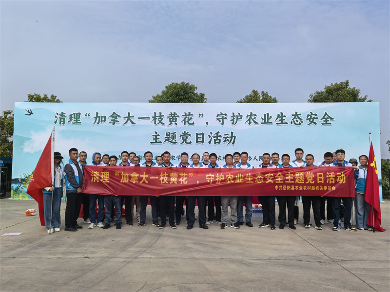 校地联动清黄花 党建护航生态田