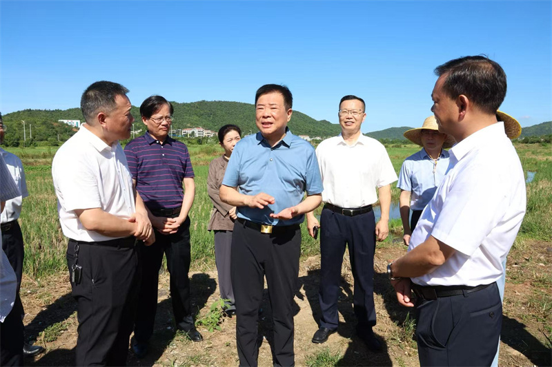 省人大常委会副主任陈飞来岳阳县调研