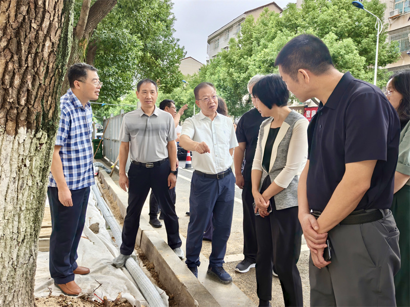 省政协人资环委调研组来岳阳县调研城市更新与生态治理工作
