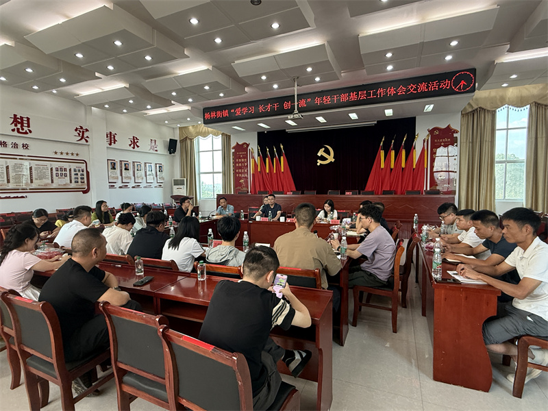 爱学习、长才干、创一流——杨林街镇这场青年干部交流会，“经验盲盒”里开出“真功夫”