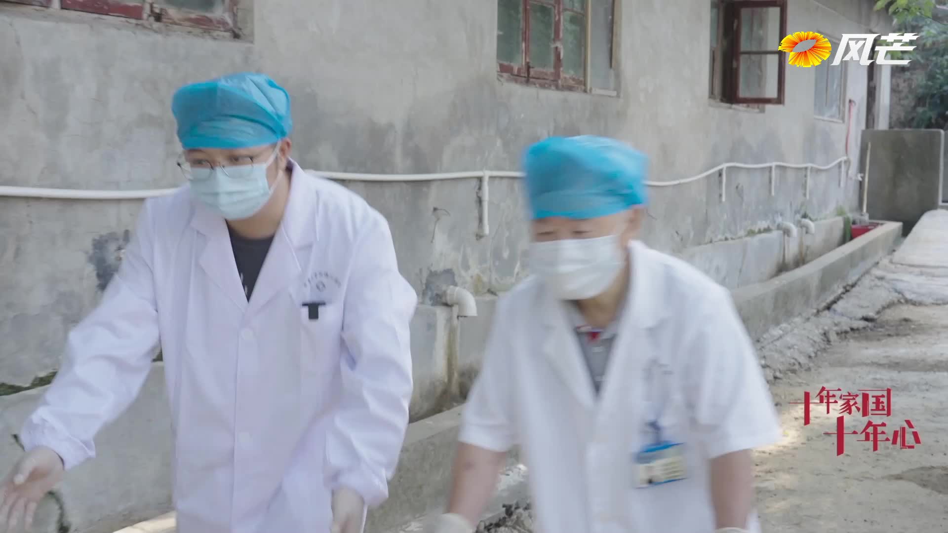 《十年家国十年心》第46集｜这头猪100万我都不卖